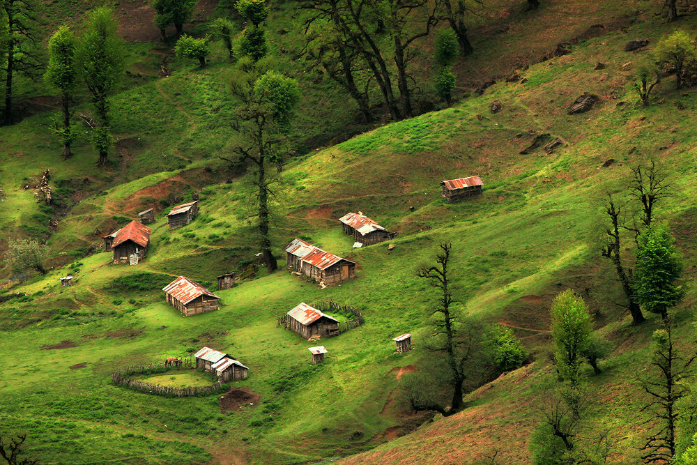 Photograph by hasan sorena jouri