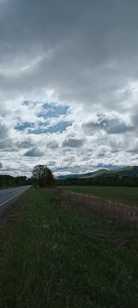 Photo #13784122