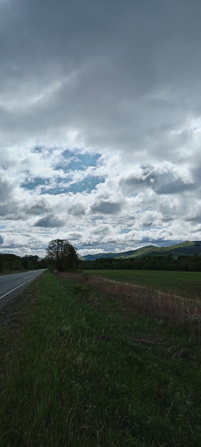 Photo #13784122