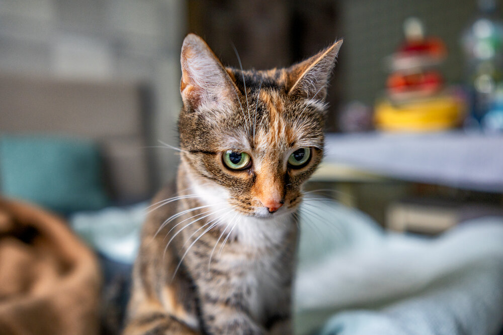 Photograph by Александр Колляков