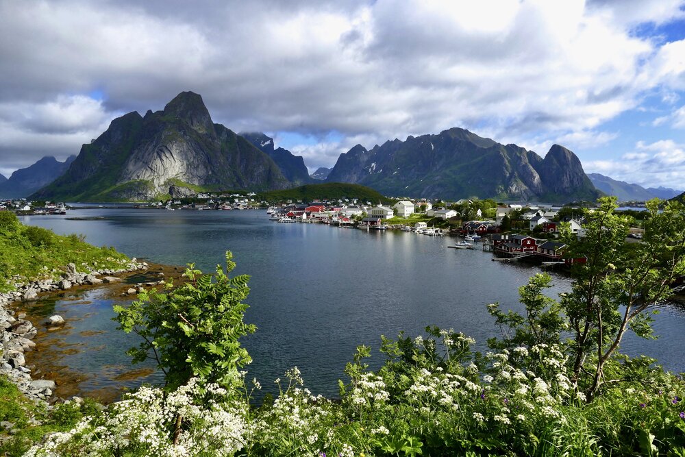 Summer Reine
