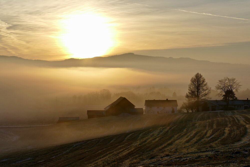 Winter sun