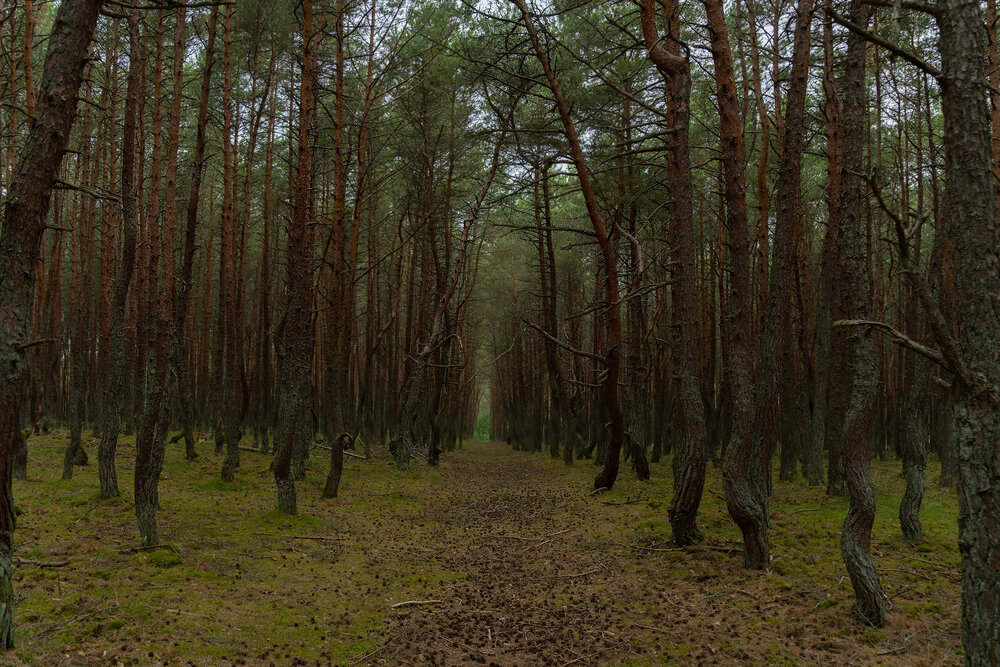 Photograph by Татьяна Симоненко