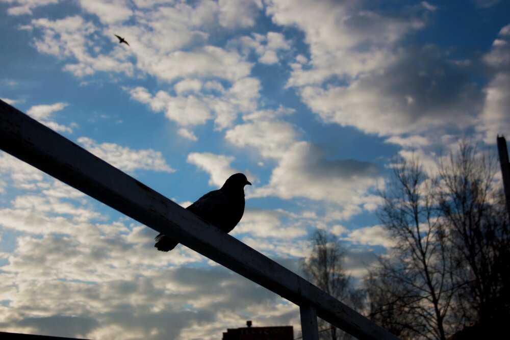 Photograph by Татьяна Слесарева