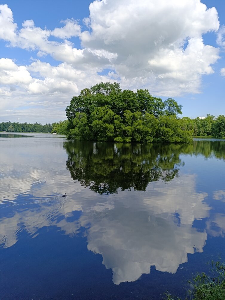 Photograph by Олеся Матвеева