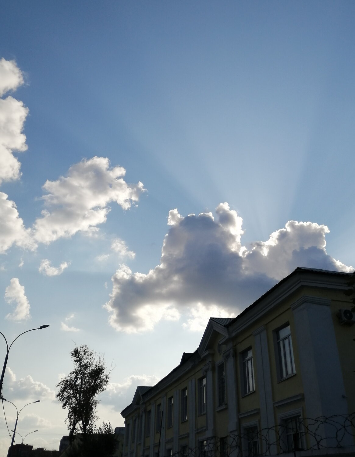 Photo #13784256
