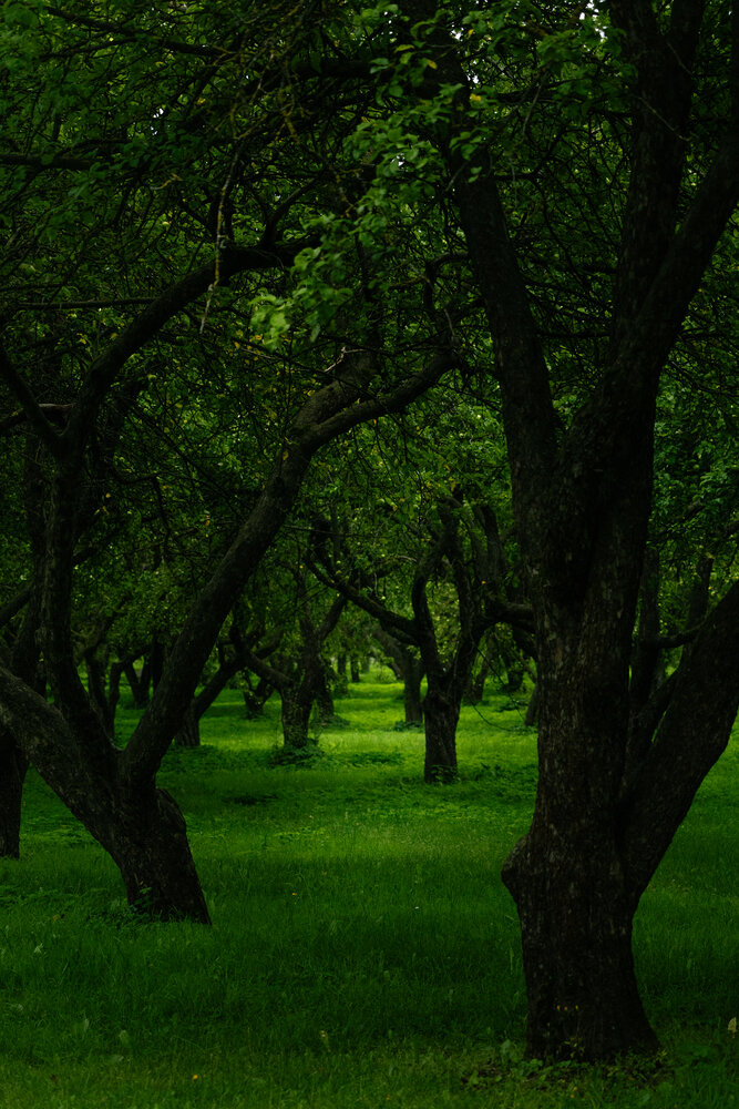 Photograph by Ulan
