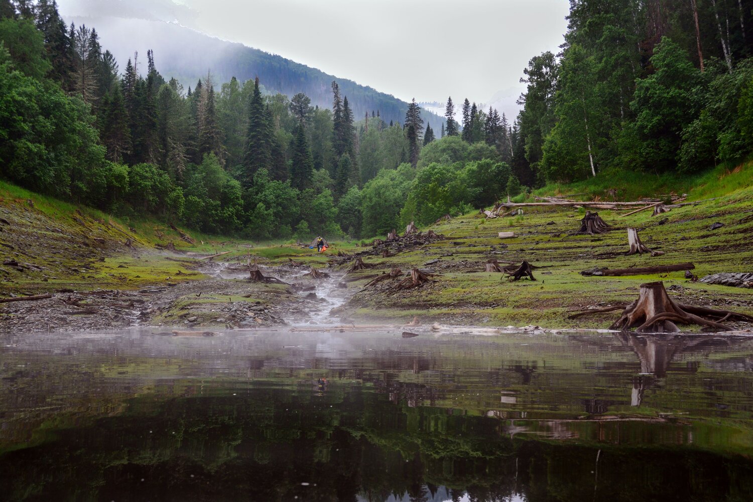 Photo #13784374