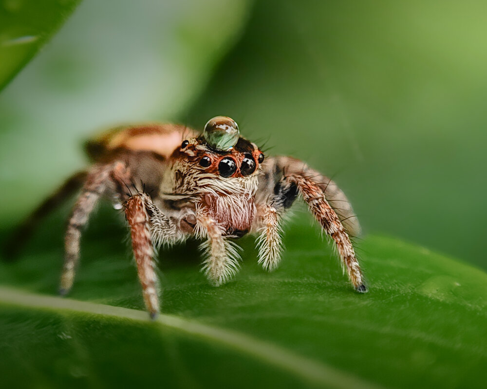 A jumper with a tiny water droplet