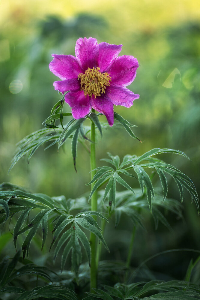 Photograph by Рубан Алёна