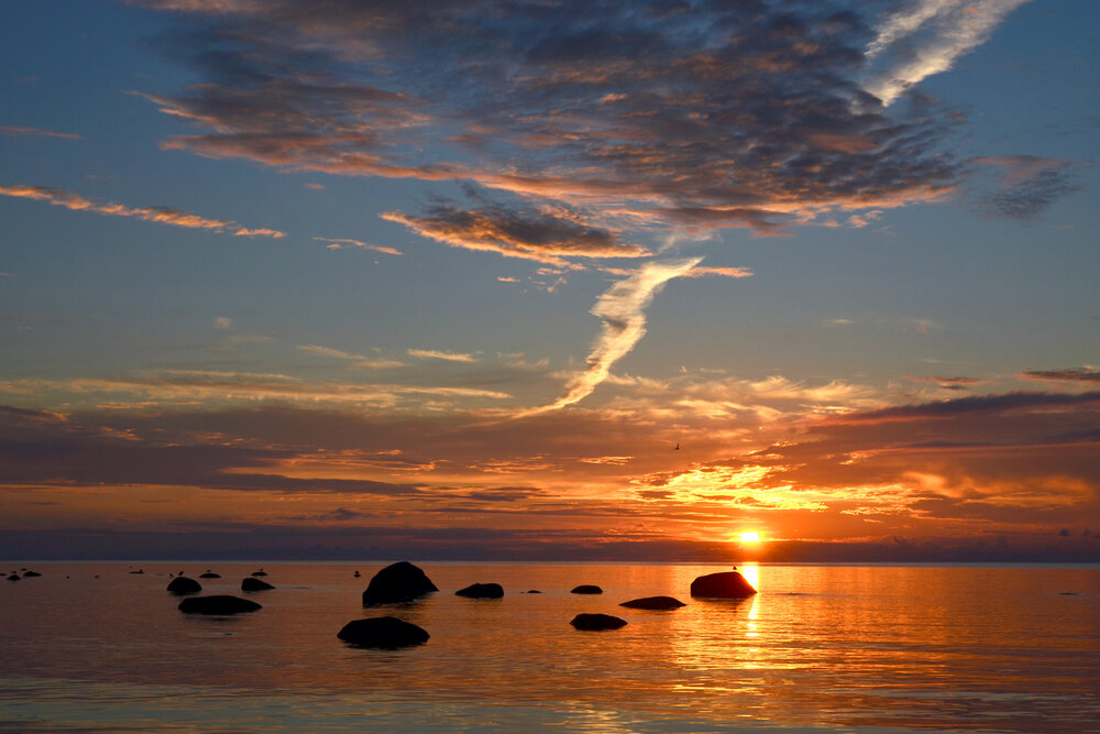Photograph by Николай Кувшинов