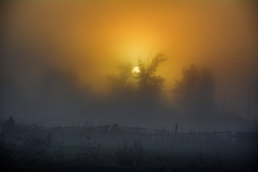 Photograph by Эд Голиков