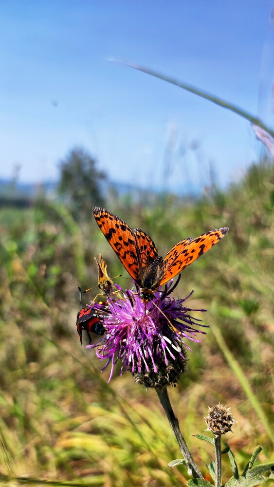 Photograph by Онищук Татьяна