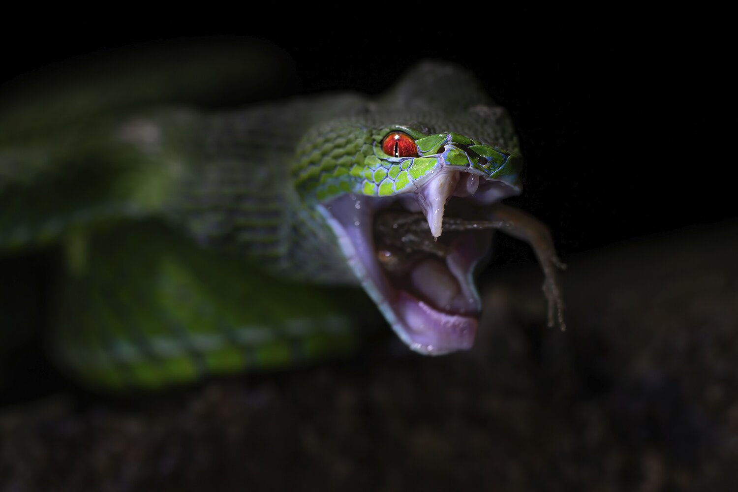 NICE TEETH