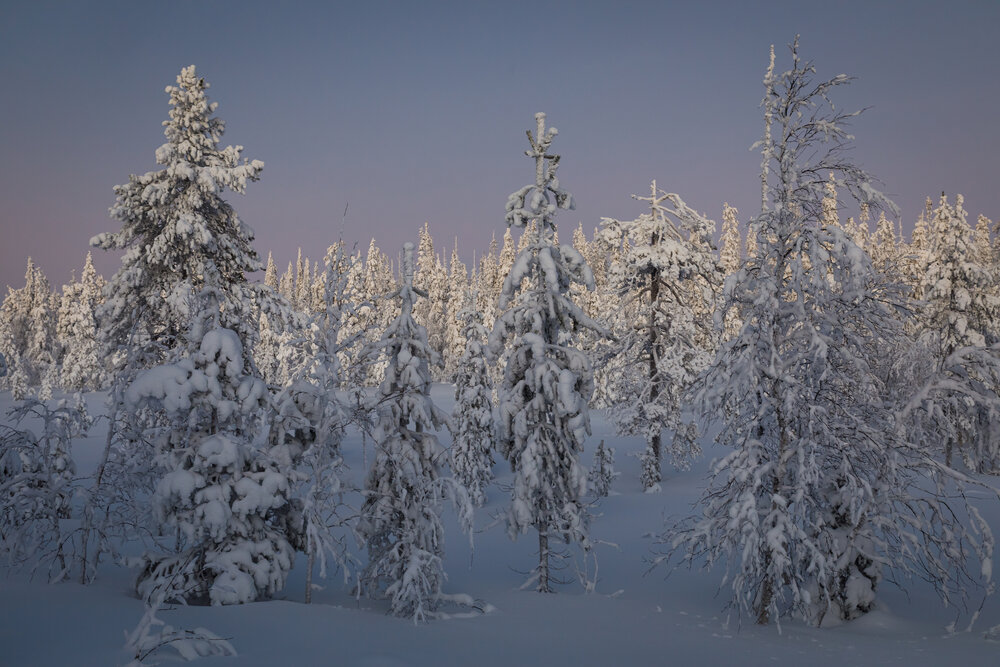 Photo #13784602