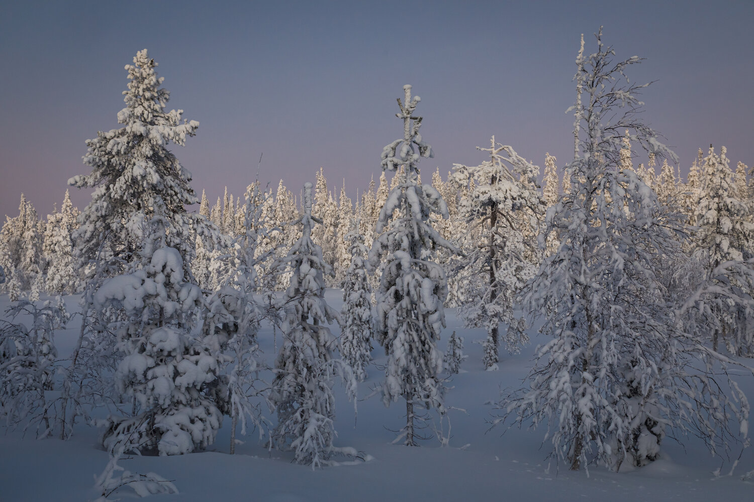 Photo #13784602