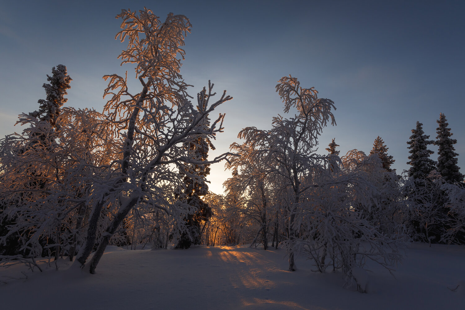 Photo #13784603
