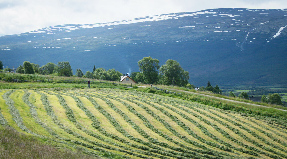 Photograph by Вячеслав Лычков