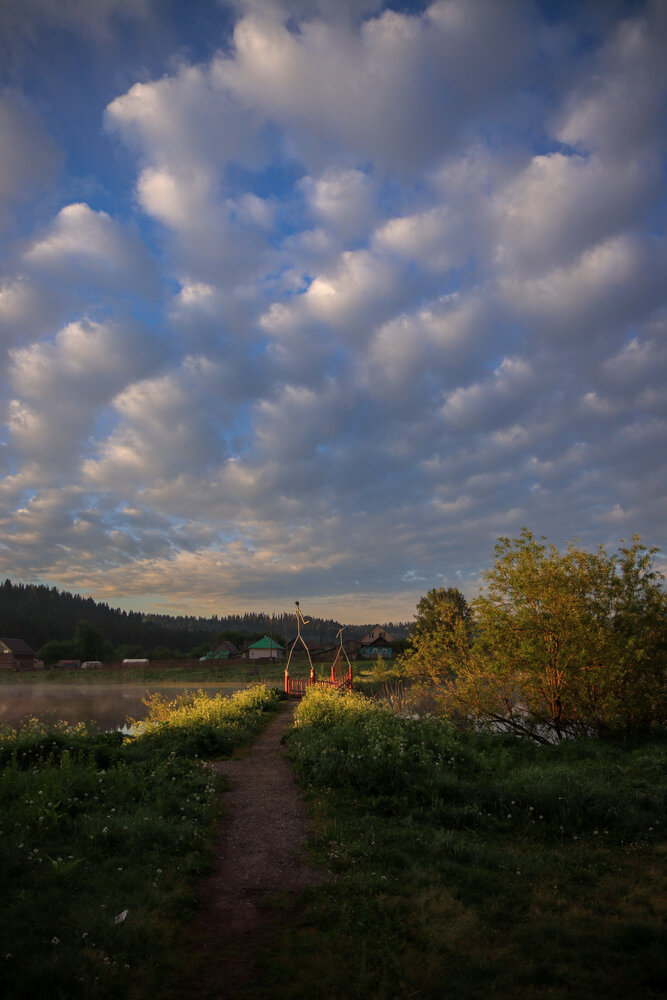 Photo #13784723