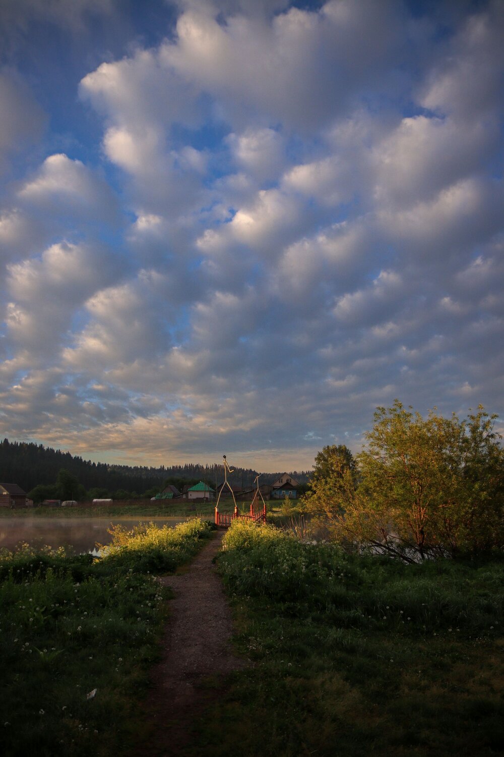 Photo #13784723