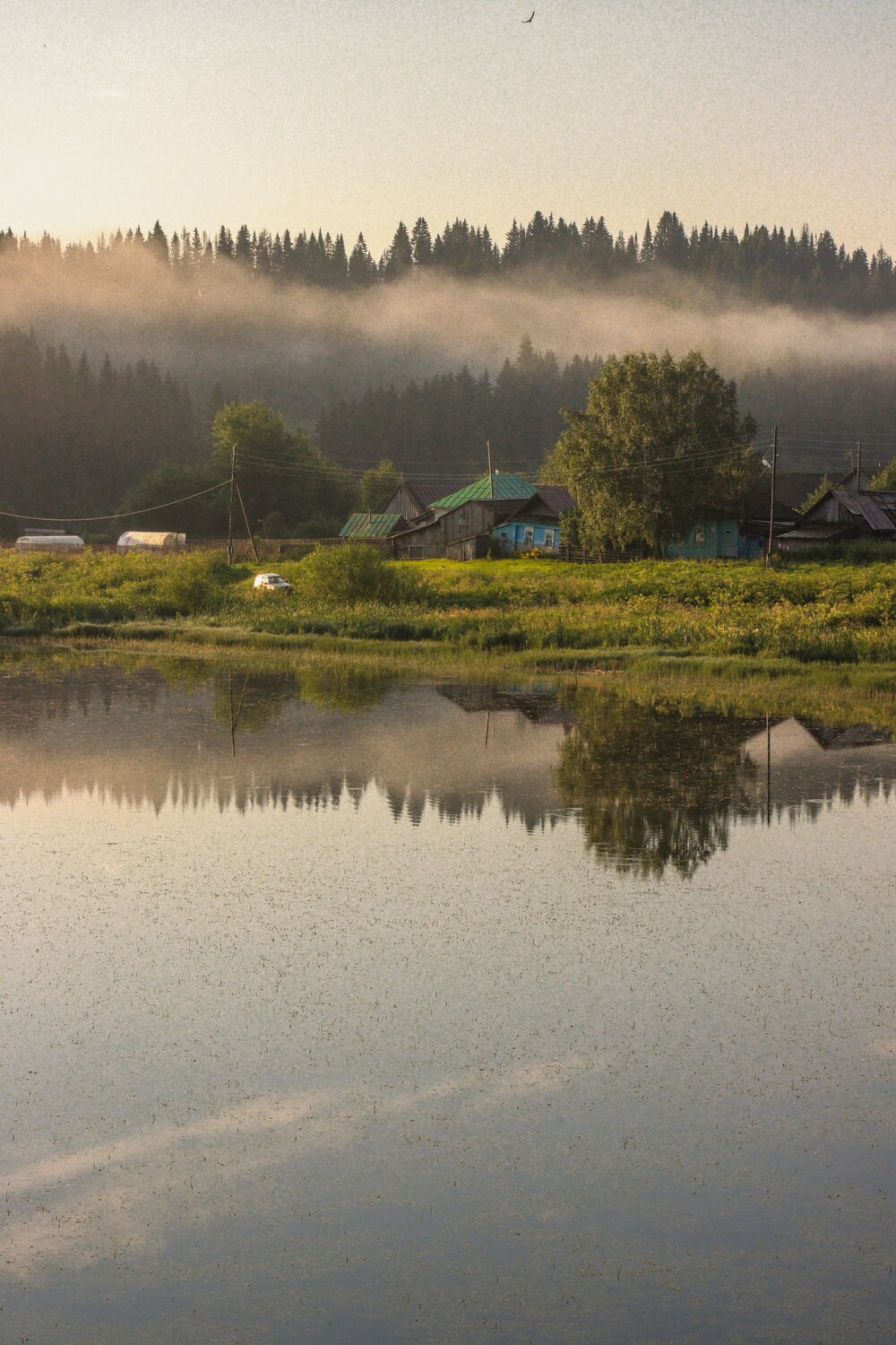 Photo #13784726
