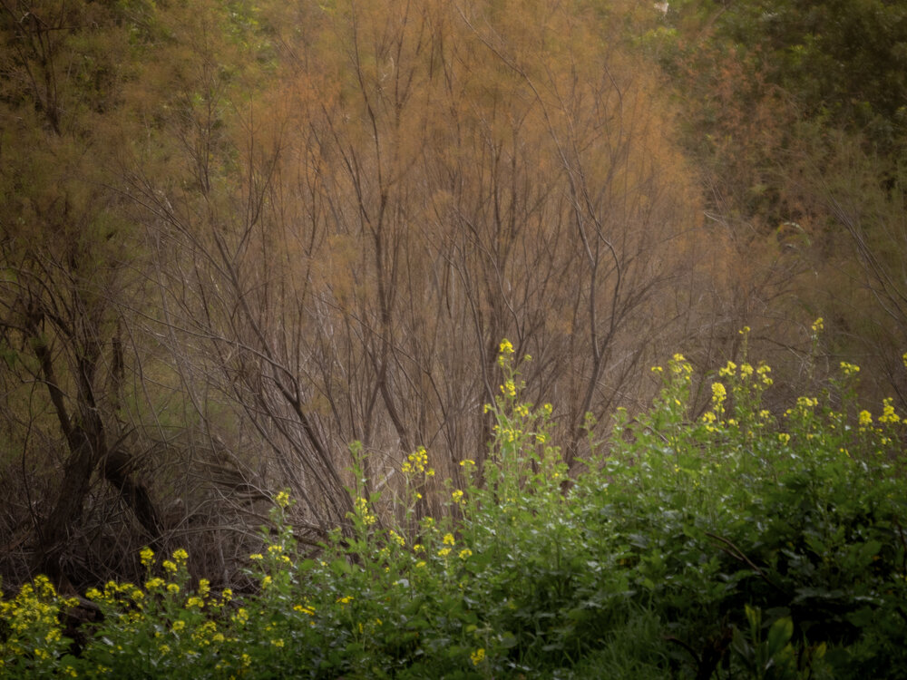 Photo #13784753