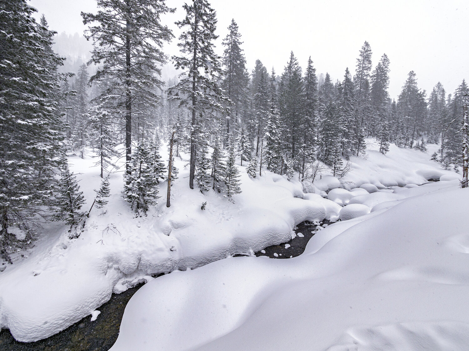 Photo #13784794