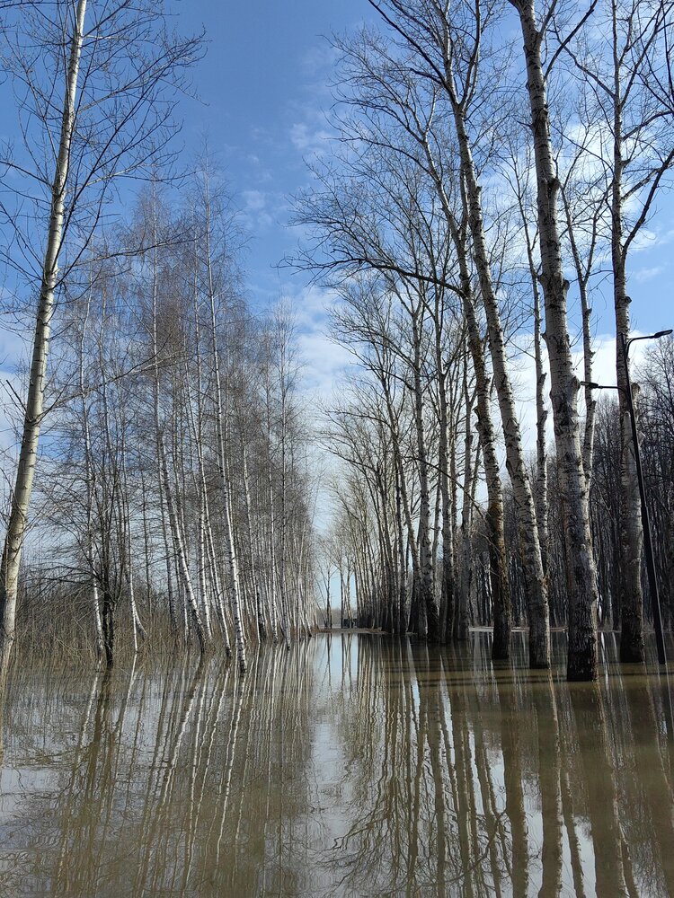 Фотография автора Анастасия Кременчугская
