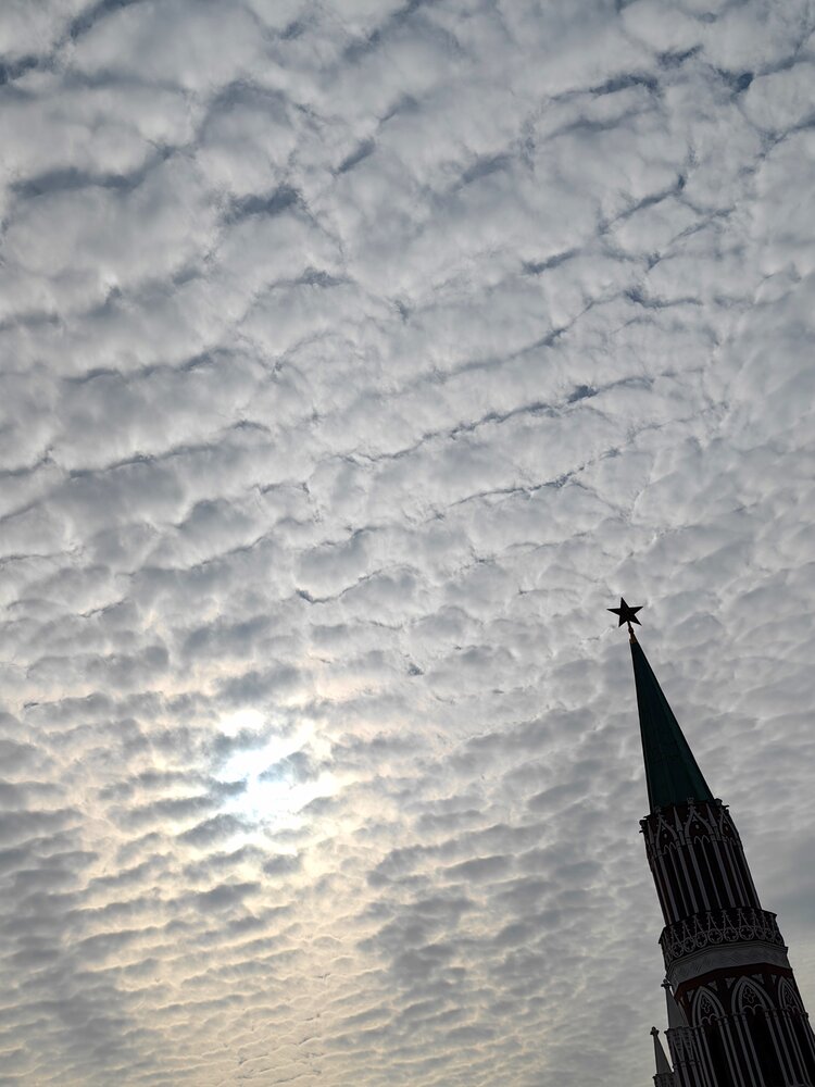 Photograph by Olga Golubkova
