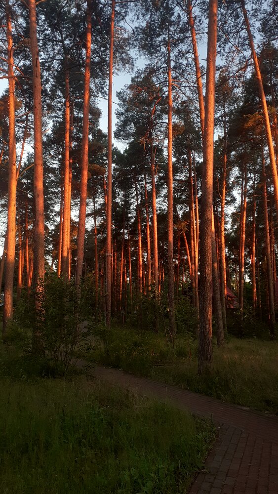 Фотография автора Елена Лещева