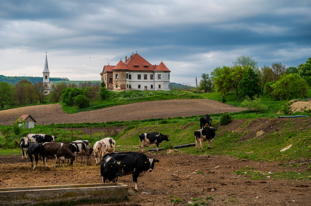 Photograph by levi bagy