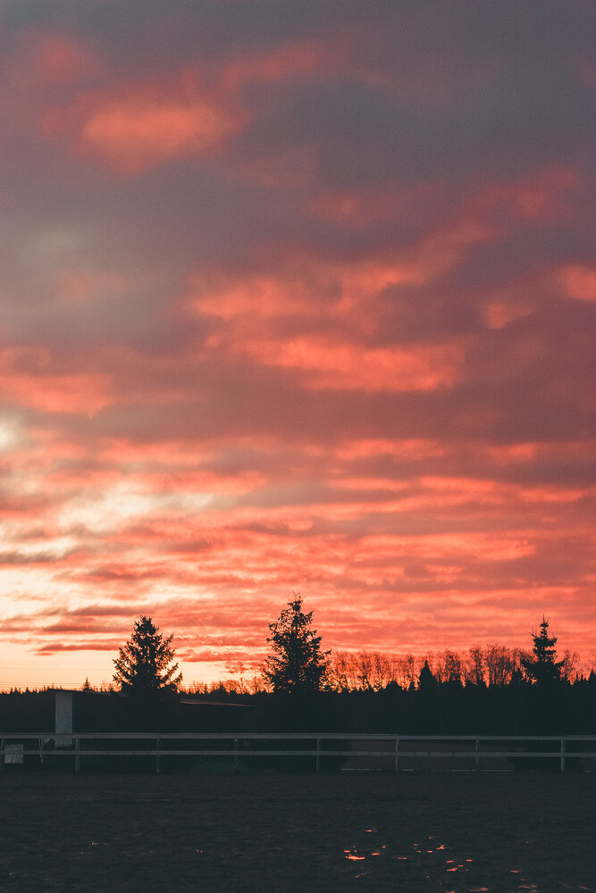 Photograph by Полина Ф