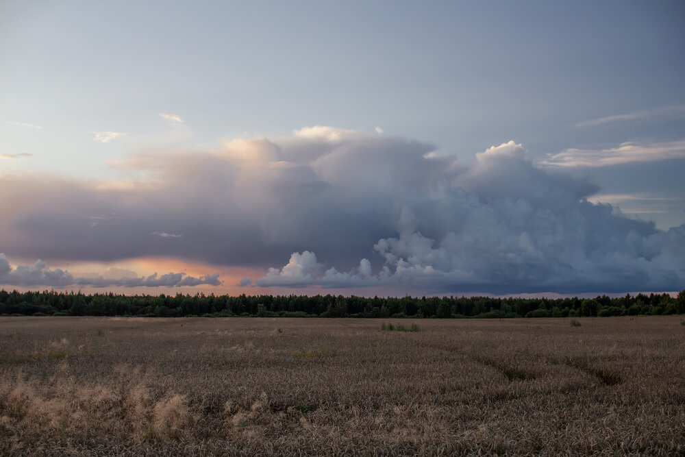 Photograph by Полина Ф