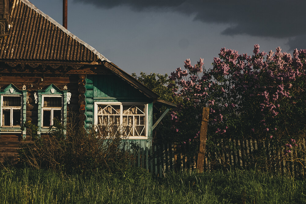 Photograph by Полина Ф