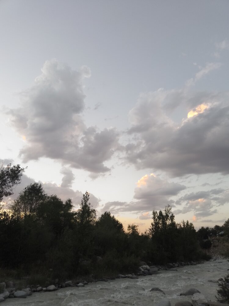 Photo #13785098