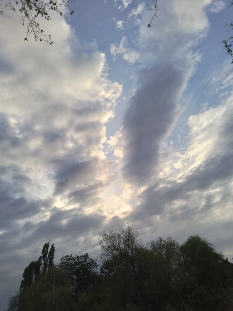 Photo #13785099