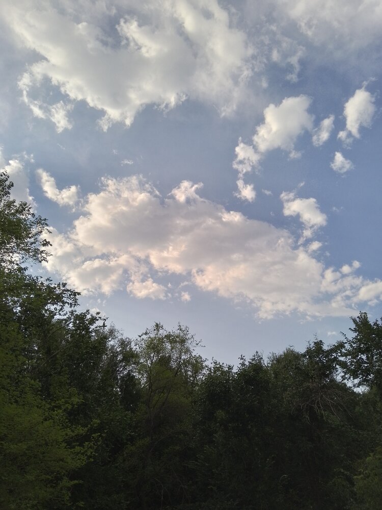 Photo #13785100