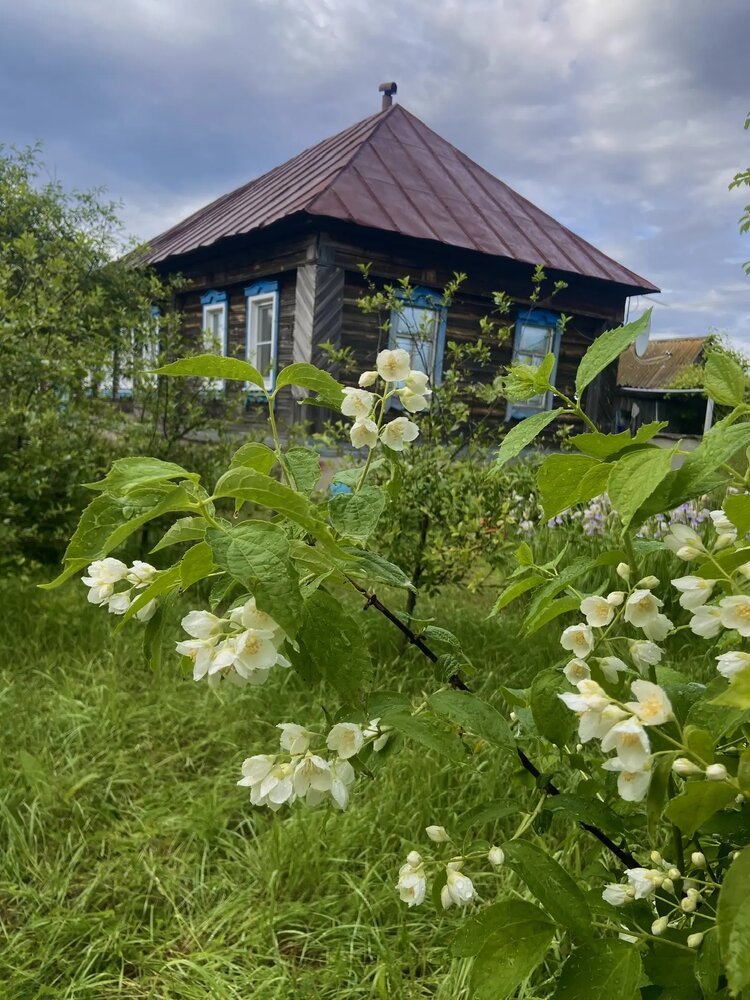 Photograph by Татьяна Савранчук