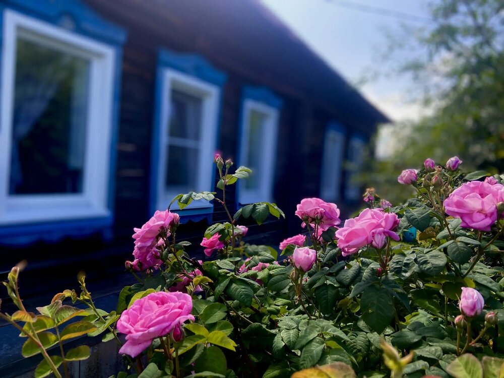 Photograph by Татьяна Савранчук