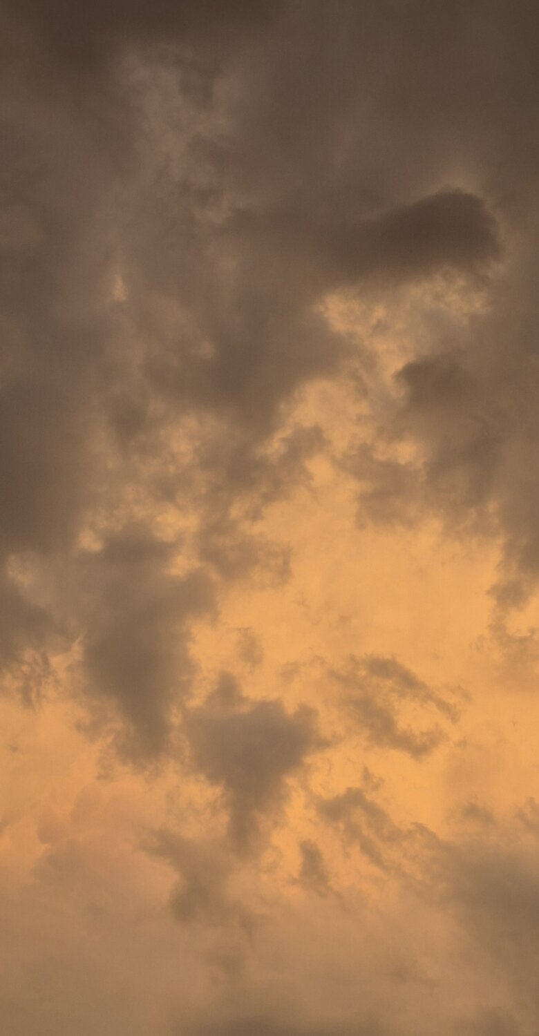 Photo #13785111