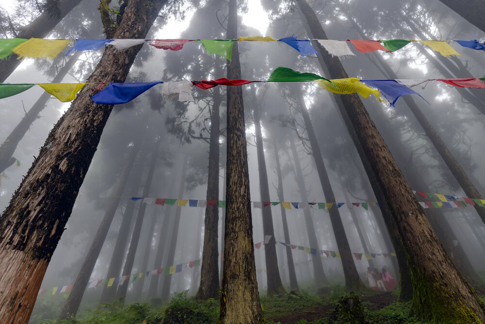 Фотография автора Subhadeep Ghosh