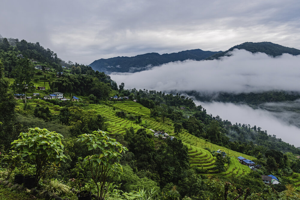 Фотография автора Subhadeep Ghosh