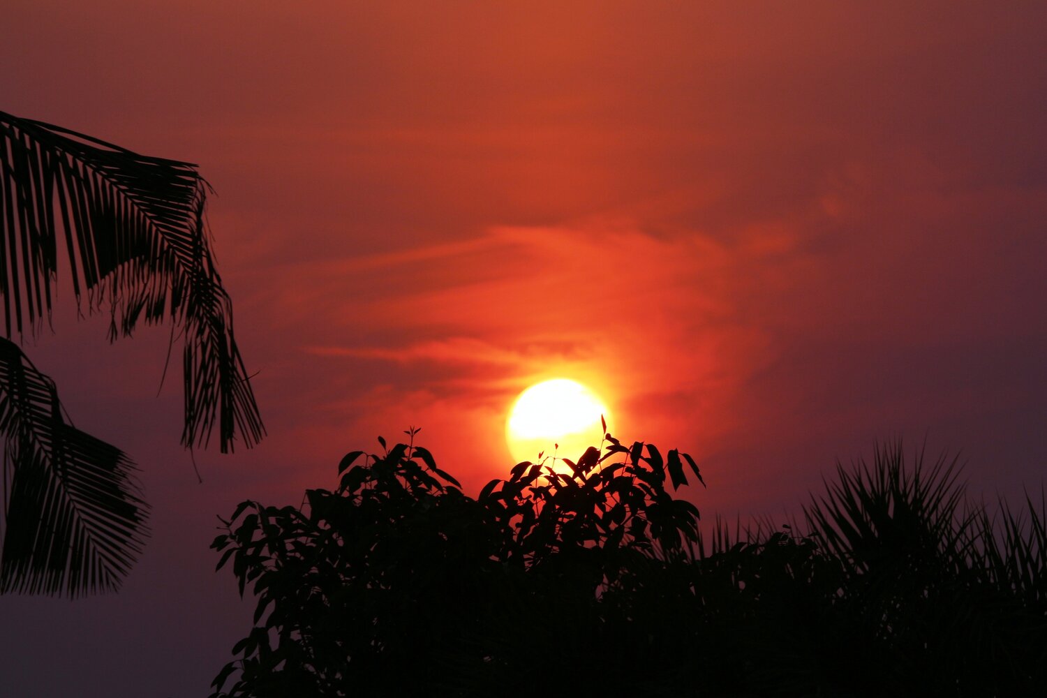 ID: The Perfect Sunset