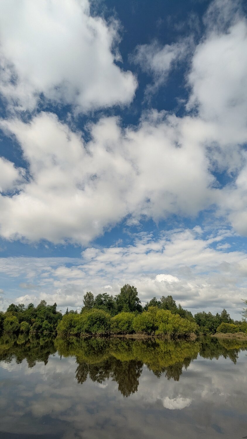 Photo #13785226