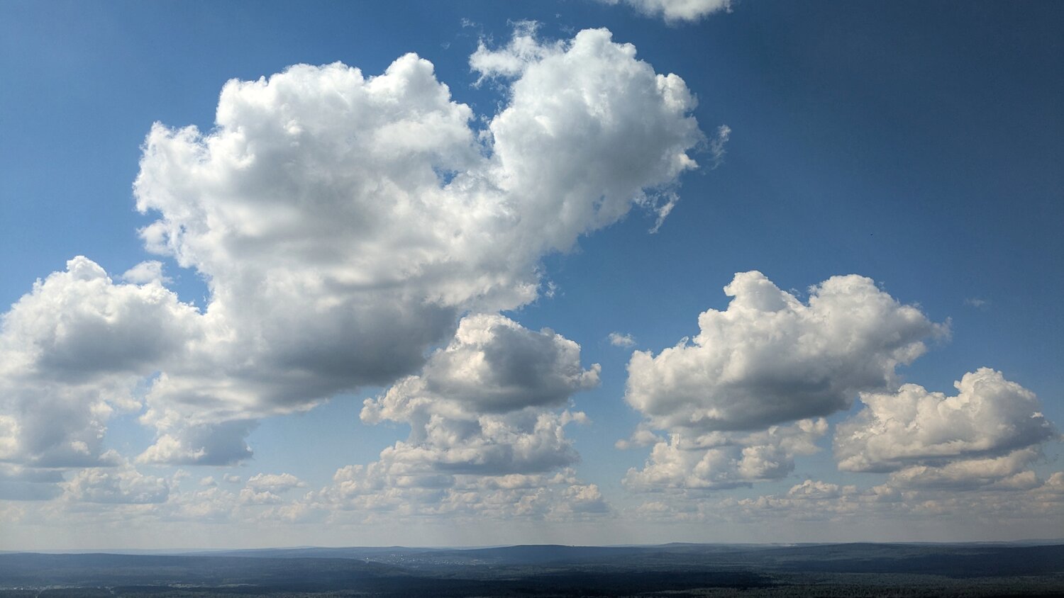 Photo #13785233