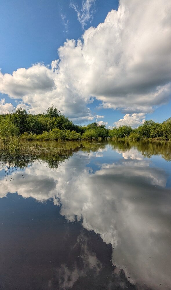 Photograph by Ольга Тимофеева