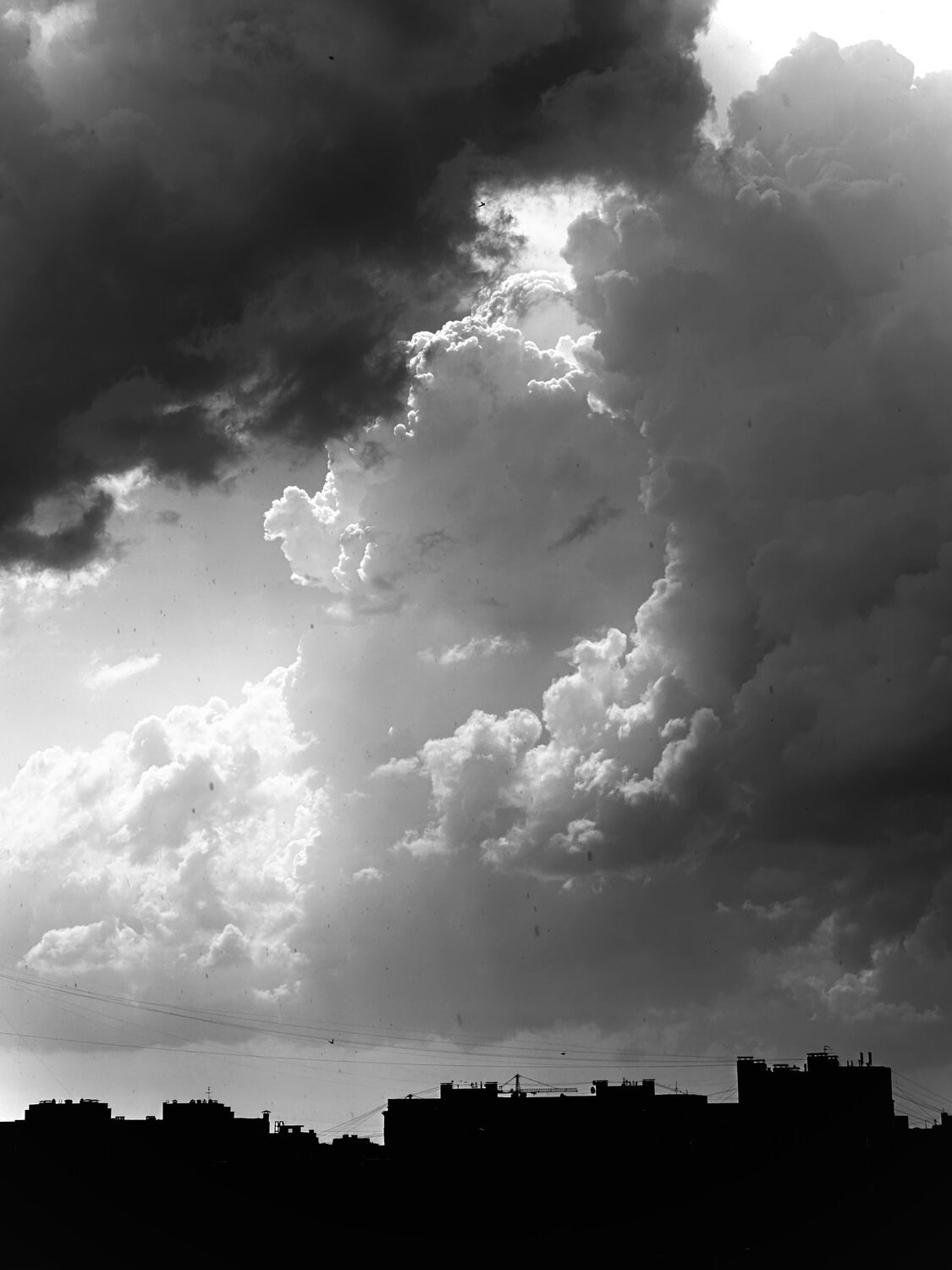 Photo #13785266