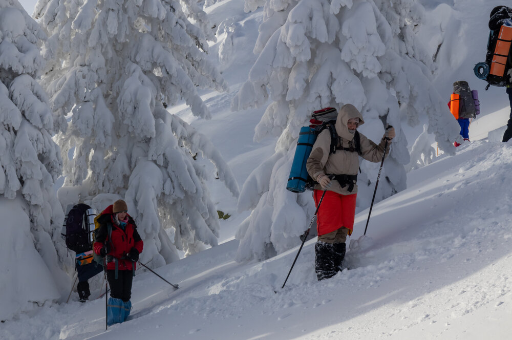 Photo #13785297