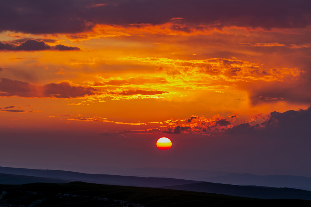 Photo #13785326