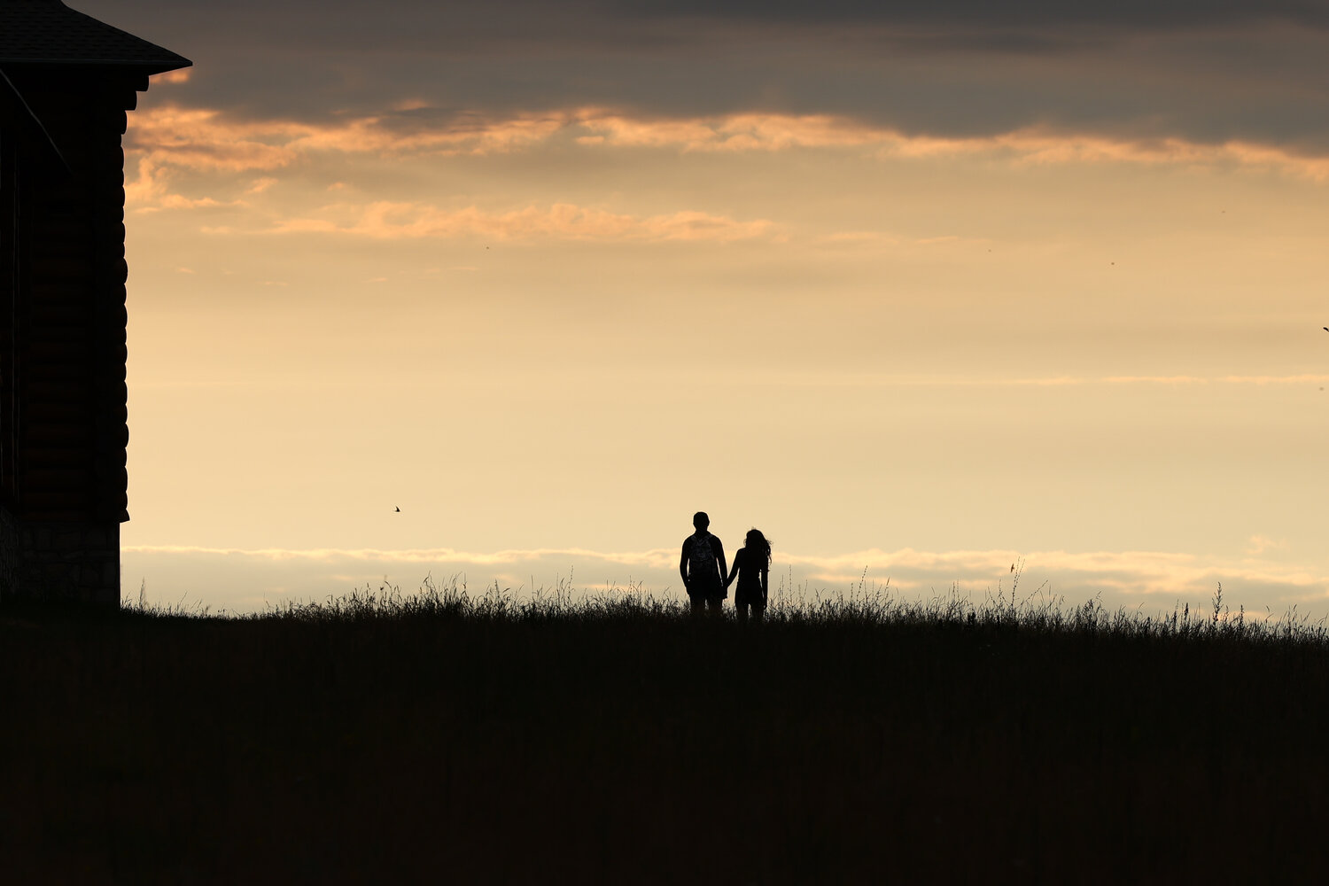Photo #13785330